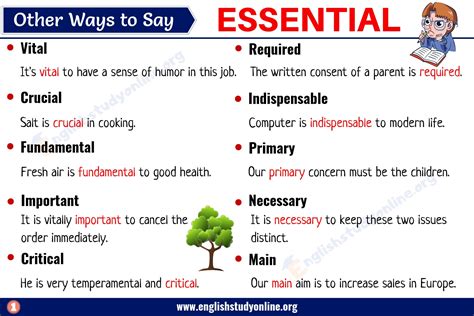 INDISPENSABLE Synonyms .